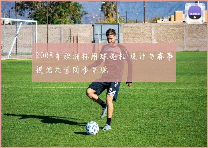 2008年欧洲杯用球亮相 设计与赛事视觉元素同步呈现