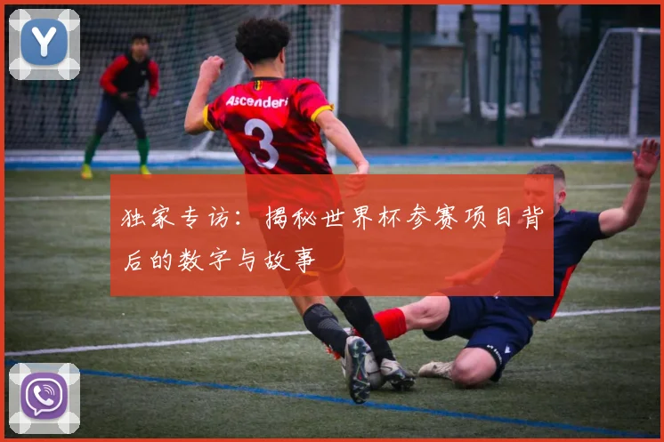 独家专访：揭秘世界杯参赛项目背后的数字与故事