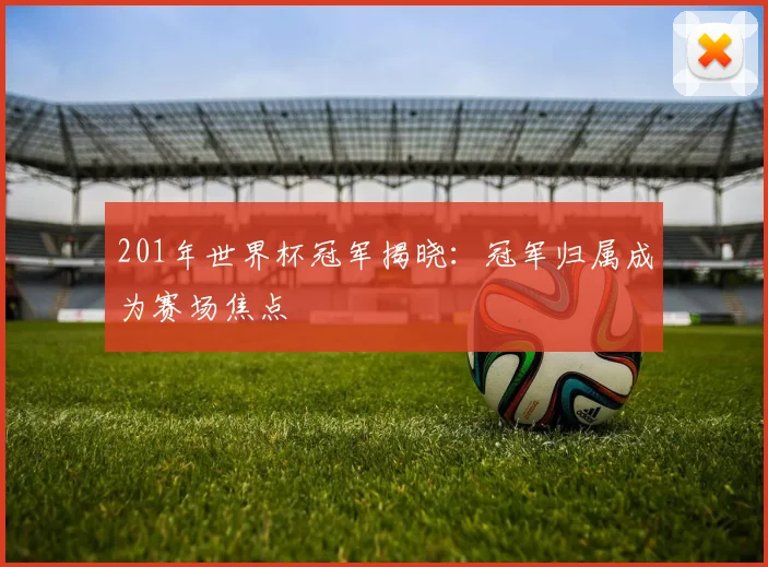 201年世界杯冠军揭晓：冠军归属成为赛场焦点