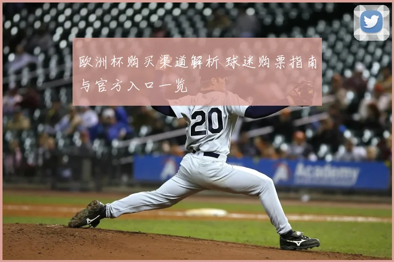 欧洲杯购买渠道解析 球迷购票指南与官方入口一览