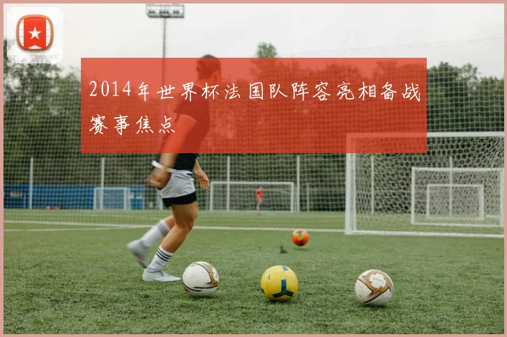 2014年世界杯法国队阵容亮相备战赛事焦点