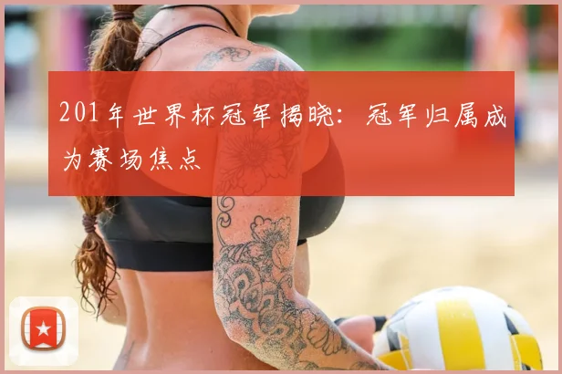201年世界杯冠军揭晓：冠军归属成为赛场焦点