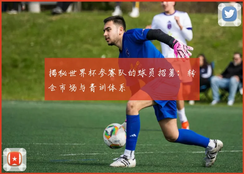 揭秘世界杯参赛队的球员招募:转会市场与青训体系