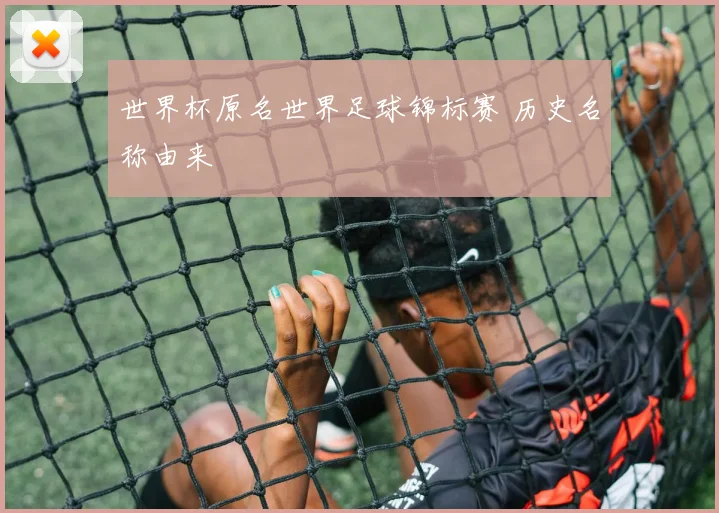 世界杯原名世界足球锦标赛 历史名称由来