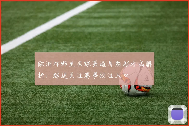 欧洲杯哪里买球渠道与购彩方式解析,球迷关注赛事投注入口