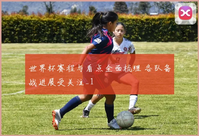 世界杯赛程与看点全面梳理 各队备战进展受关注_1
