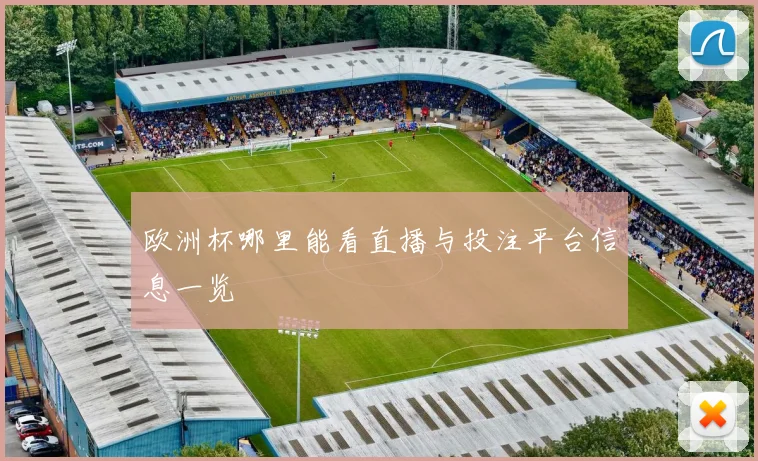 欧洲杯哪里能看直播与投注平台信息一览
