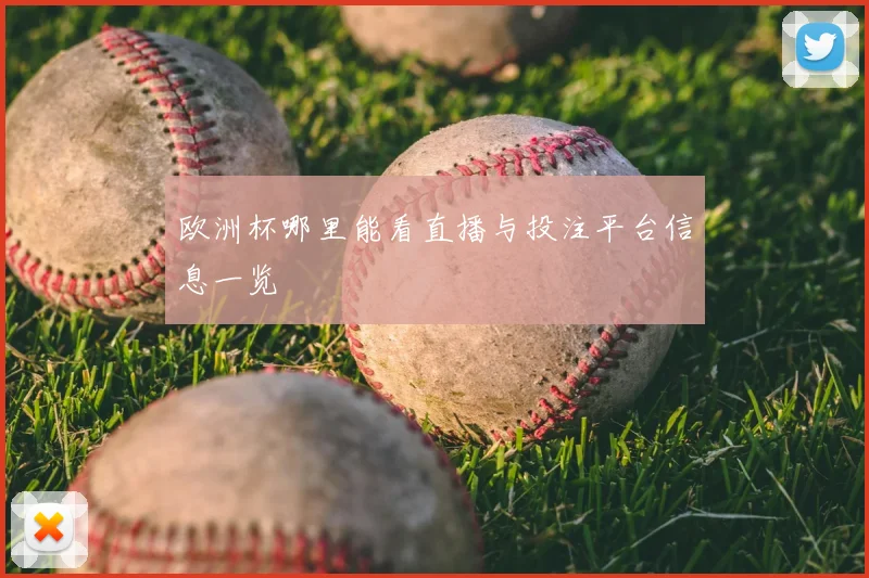 欧洲杯哪里能看直播与投注平台信息一览